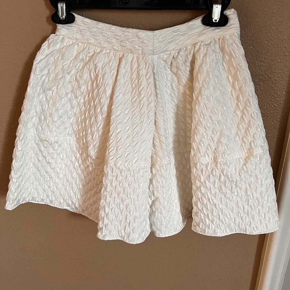 Express skirt